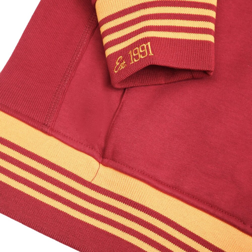 UDC FIREBIRDS Hoodie Retro HBCU Pride AACA Sweatshirt Alumni Gear, Red - Picture 5 of 9